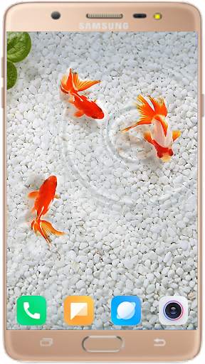 Betta Fish Wallpaper screenshot 5