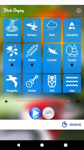 Birds Singing screenshot 2