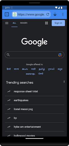 Incognito Browser screenshot 4