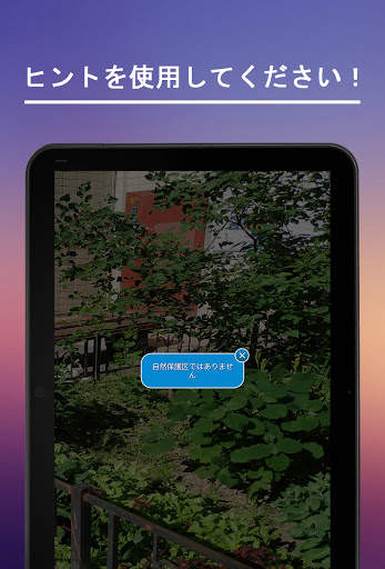 猫を探す screenshot 7