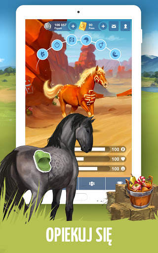 Howrse – darmowa gra o hodowli koni screenshot 9