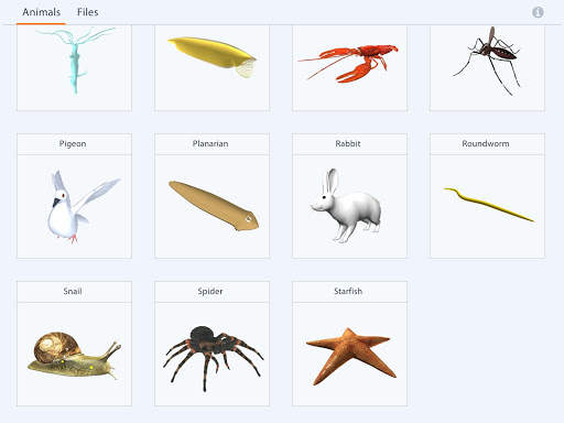 Animalia Educalabs screenshot 2