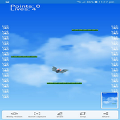 fly birds icon