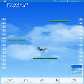 fly birds 1.0