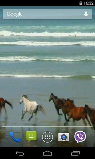 Amazing horses Video LWP screenshot 2