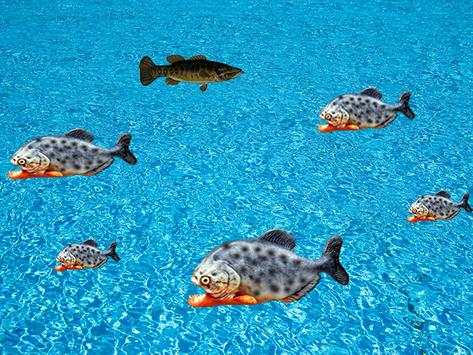 Fishing Piranha Hook screenshot 4