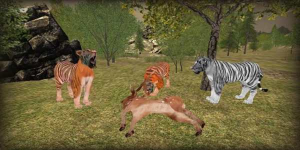 Angry Tiger Simulator 2016 screenshot 3