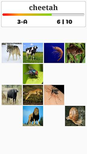 Animal Play скриншот 6