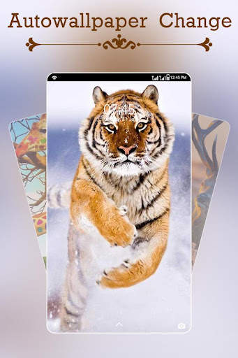 Auto Wallpaper Changer : Wallpapers Changer screenshot 4