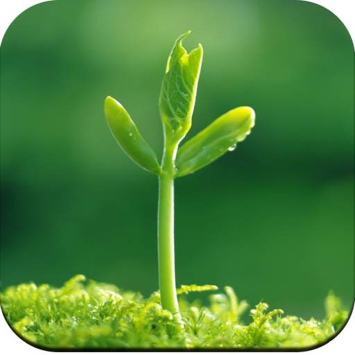 Plants Wallpaper HD 1.04