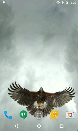 Eagle Live Wallpaper screenshot 1