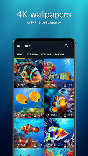 Fish Wallpapers 4K screenshot 2