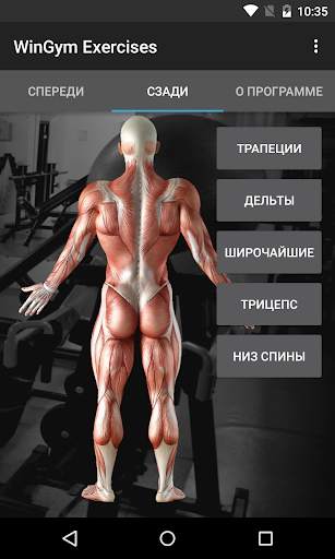 WinGym Exercises скриншот 2