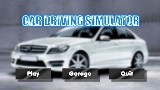Car Driving Simulator screenshot 1