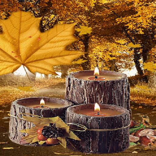 Wood Candles Live Wallpaper 3