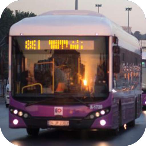 City Bus Driver 3D 1.0