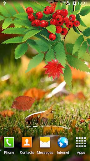 Autumn Live Wallpaper screenshot 2