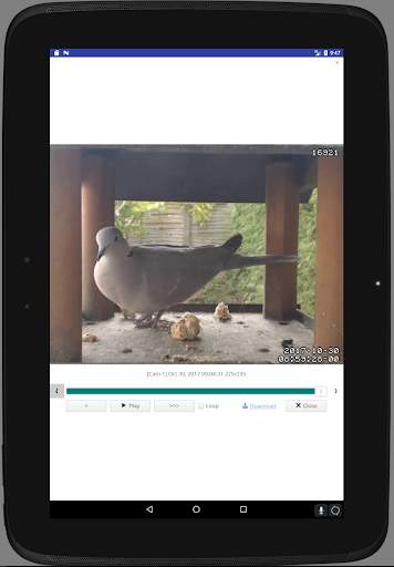 CamaC : FTP Viewer for IP Cameras screenshot 14