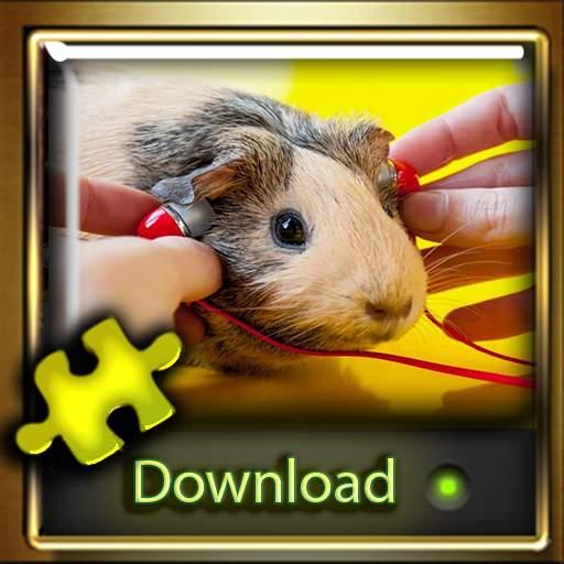 guinea pig jigsaw puzzle game for Adults icon