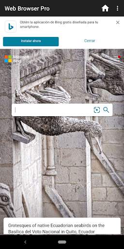 Web Browser Pro screenshot 4