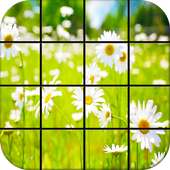 Nature Photo Puzzle Game logo