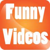 New Funny Videos 1.0