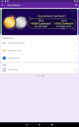 Fake UPI screenshot 8