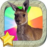 Kangaroo Punch Boxing Game -Android app icon