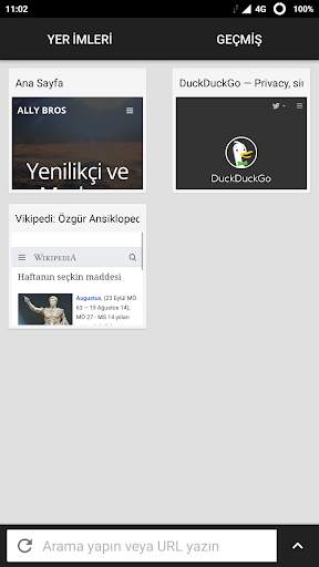 NetRover Web Tarayıcı screenshot 1