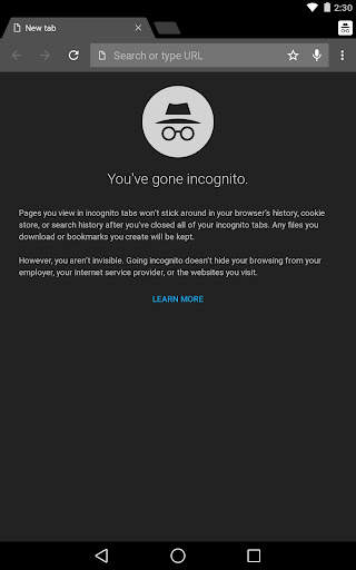 Chrome Dev screenshot 11