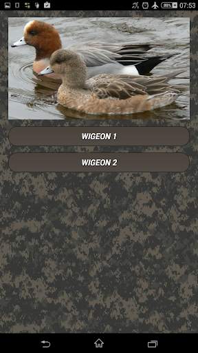 Duck hunting calls screenshot 2