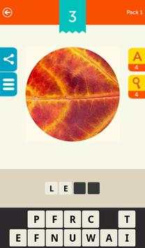 Guess the Pic! screenshot 14
