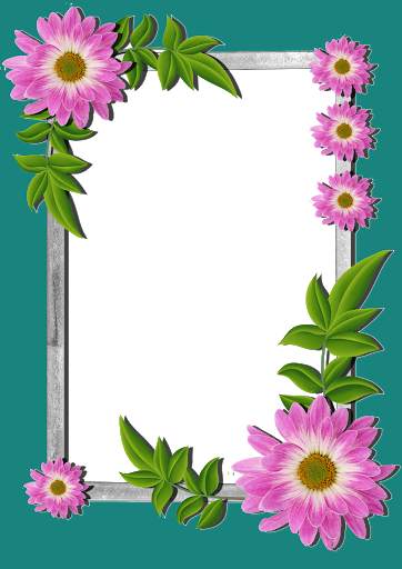 Flowers Photo Frames HD screenshot 2