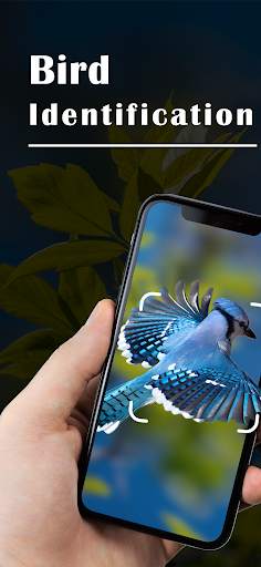 Bird Identifier - Picture Bird screenshot 1