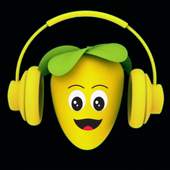 Music Player Flstudio 2.9