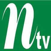 N TV logo