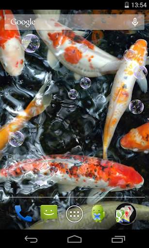 Koi Live Wallpaper screenshot 3