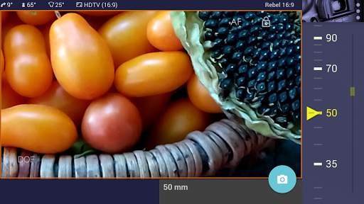 Magic Canon ViewFinder screenshot 4