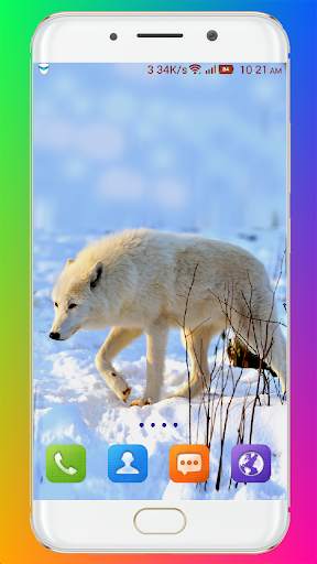 Wolf Wallpaper HD screenshot 5