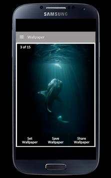 Shark Wallpaper स्क्रीनशॉट 4