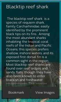 Shark Species: Types of Shark screenshot 2
