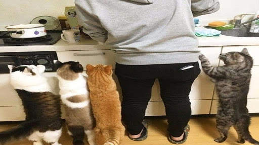 Funny pics))) screenshot 1