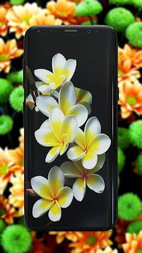 Flower Wallpaper screenshot 5