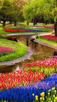 Garden Wallpapers screenshot 3