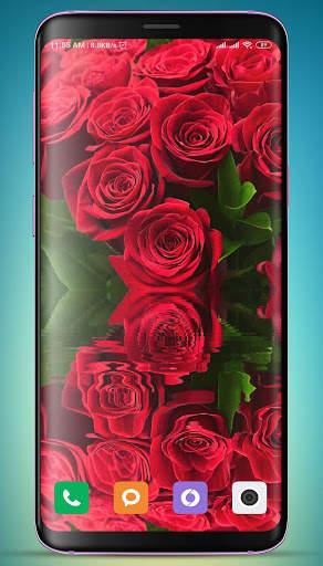 Rose Wallpaper HD screenshot 5