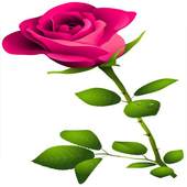 WAStickerApps - Flowers stickers 1.0