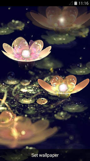 Water Lantern Live Wallpaper screenshot 1