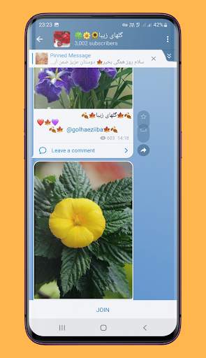 eitagram zed filter screenshot 5