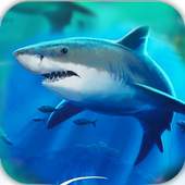 Angry Shark World 1.1