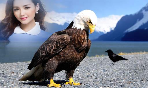 Eagles Photo Frame 4 تصوير الشاشة